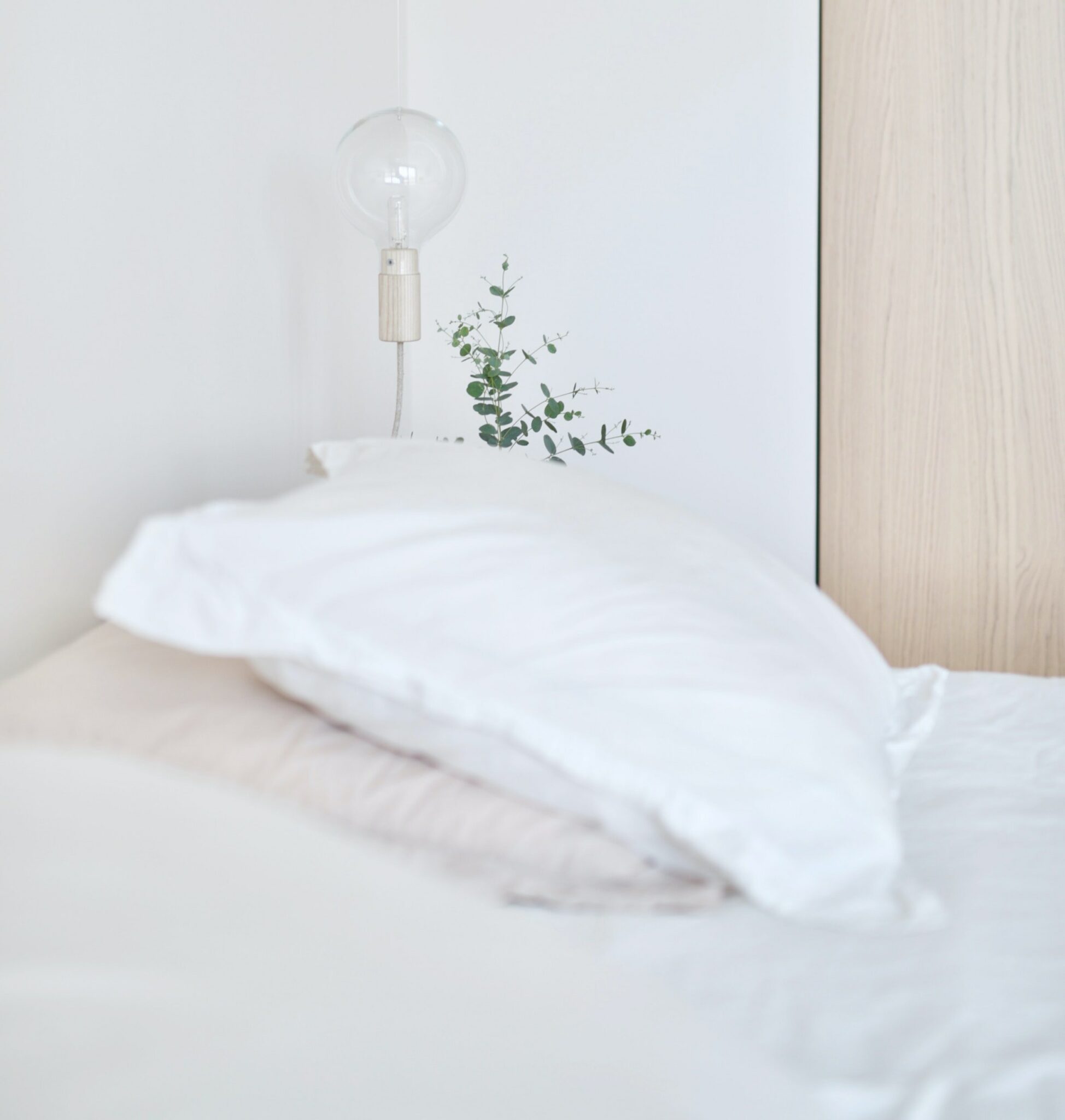 Domestic Cleaners Brighton and Hove Why Bother